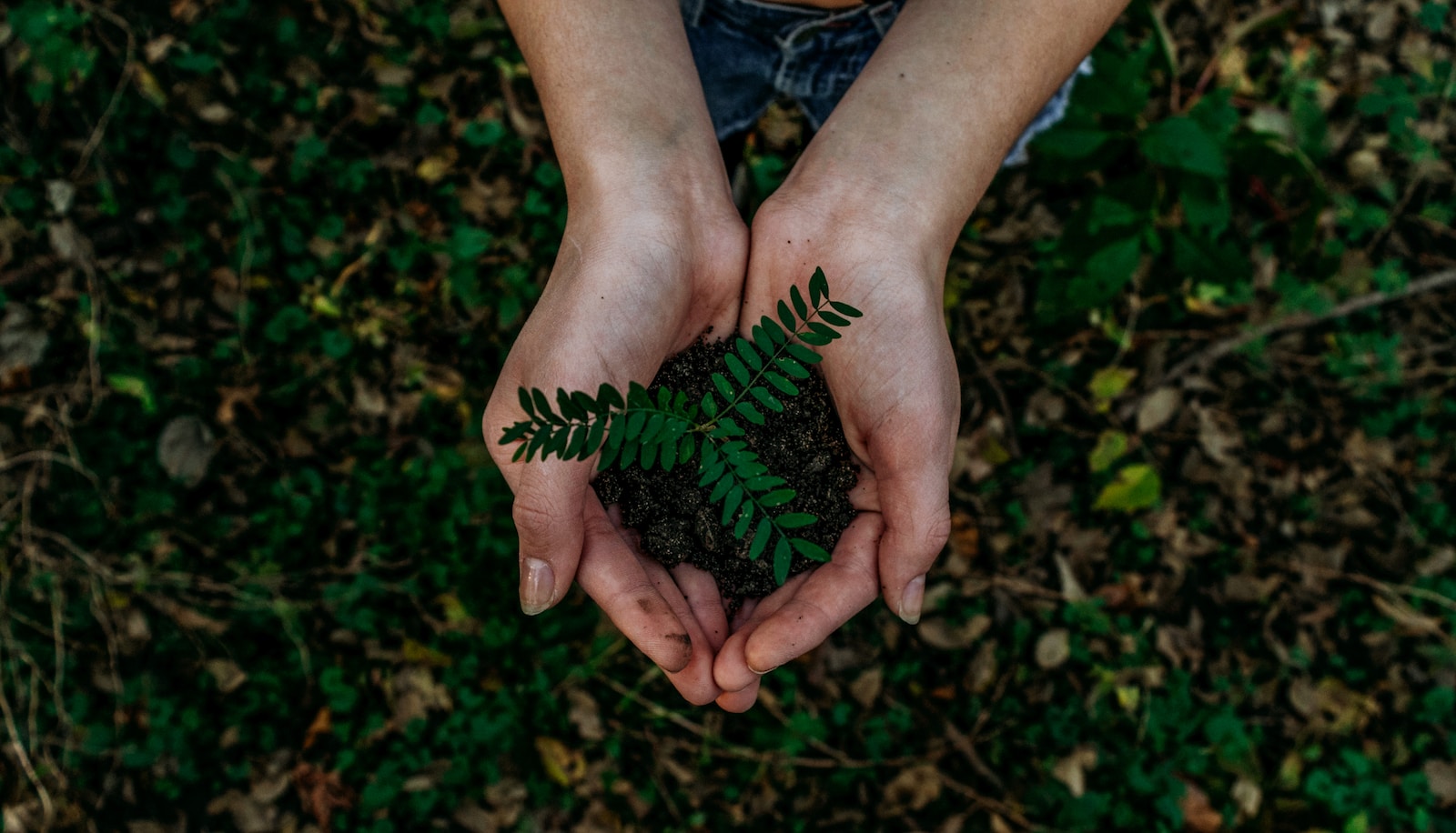 Plástico Corrugado e a Sustentabilidade